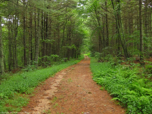 Clawson Trail