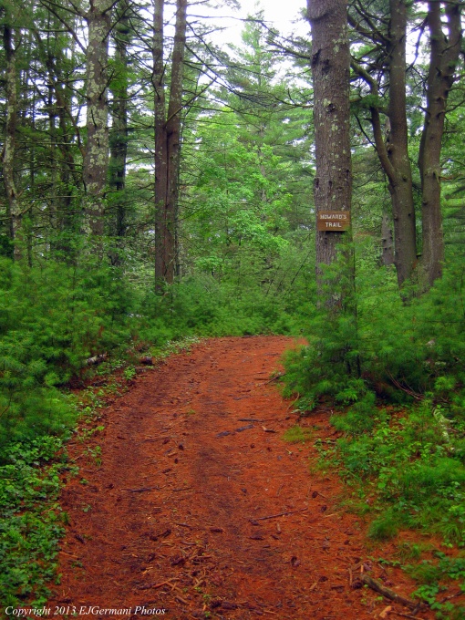 Howards Trail