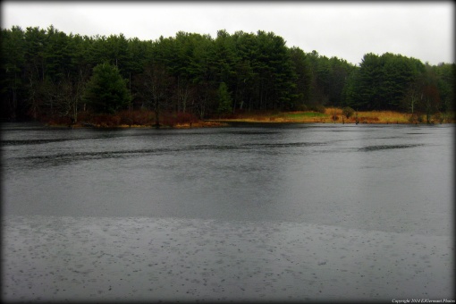 Rain On The Pond
