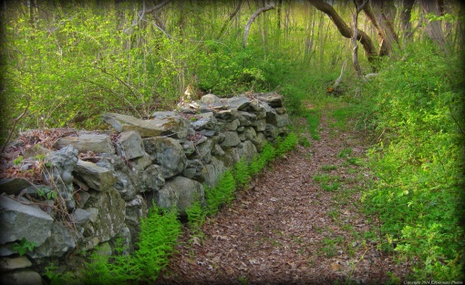 Stone Wall Along The Trail