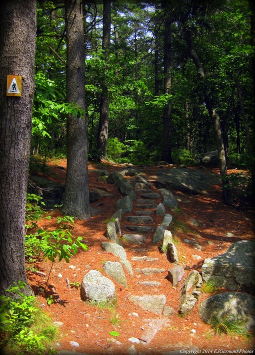 Stairs Along The Warner Trail