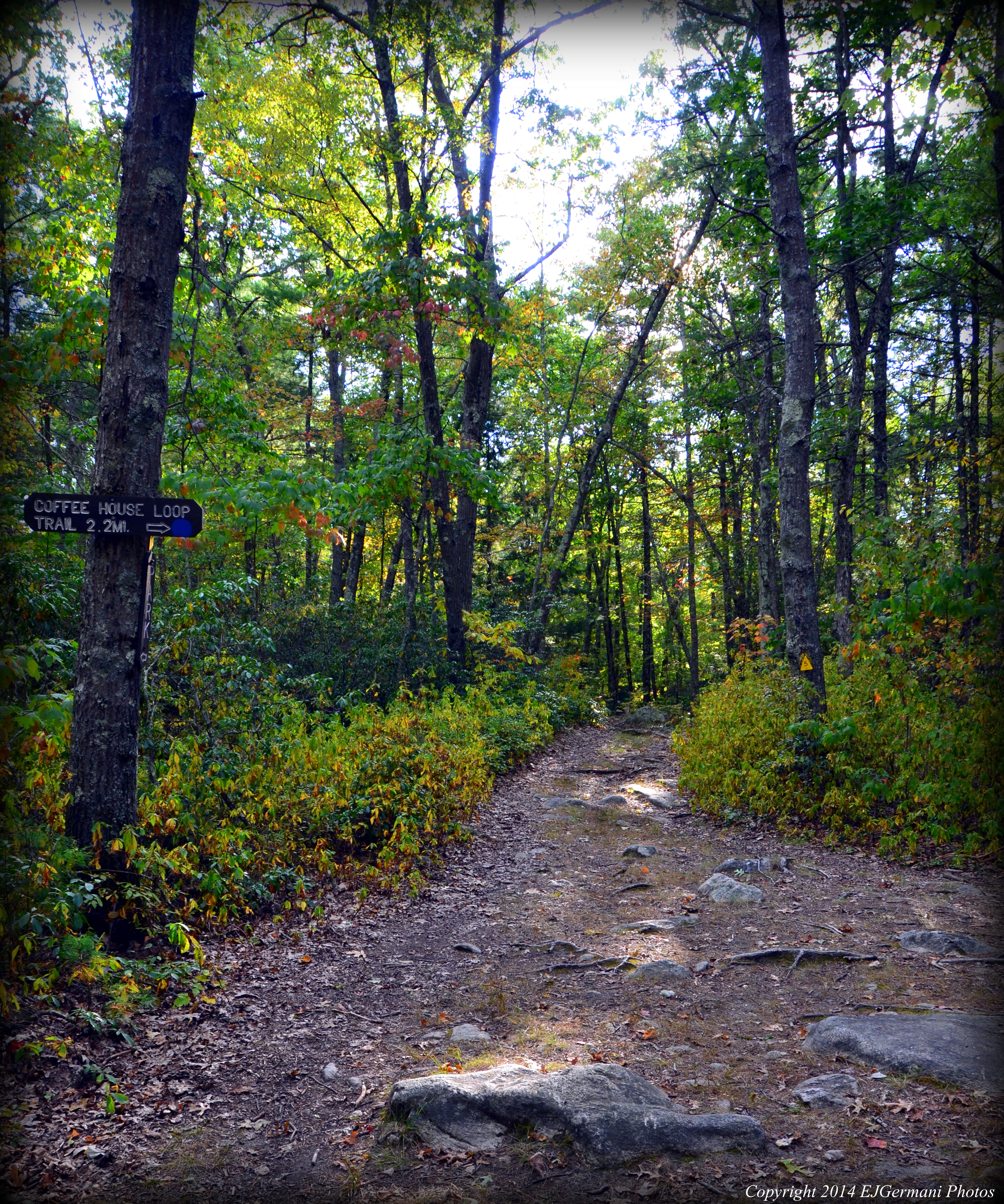Where The Coffee House Loop Meets The Mid-State Trail