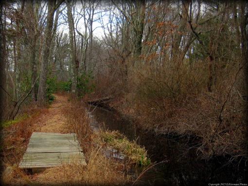 Trail Along The Canal