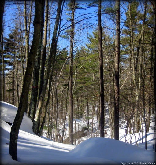 A snow covered Vock Conservation Area