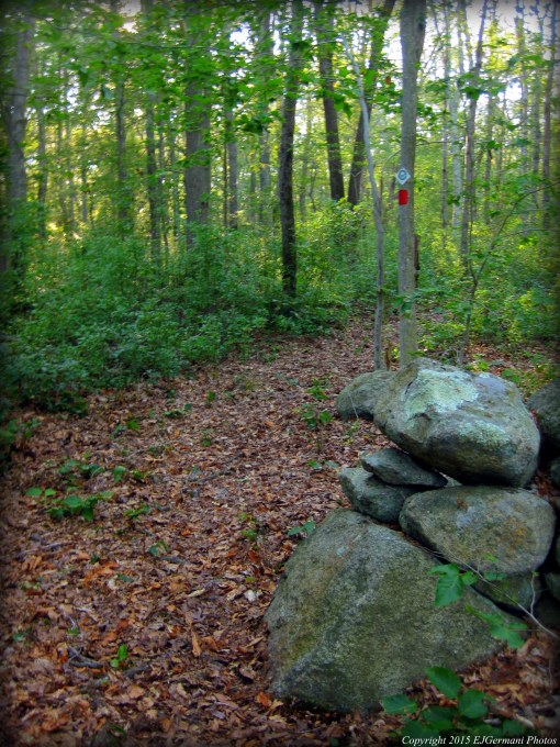 Stone Wall Along The Red Trail.